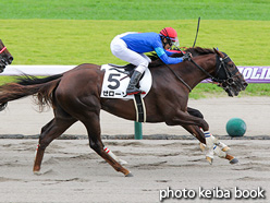 カラーパネル2021年8月28日新潟8R 3歳以上1勝クラス(ゼローソ)