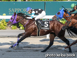 カラープリント(アルミ枠付き)2021年8月28日札幌12R ニセコ特別(シンヨモギネス)