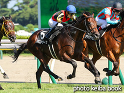 カラープリント(アルミ枠なし)2021年8月29日新潟9R 五頭連峰特別(クロンターフ)