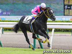 カラープリント(アルミ枠付き)2021年9月4日新潟1R 3歳以上障害未勝利(メイショウギガース)