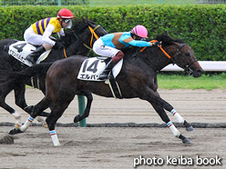 カラープリント(アルミ枠付き)2021年9月4日新潟2R 2歳未勝利(エルパソ)