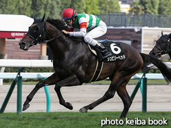 カラーパネル2021年9月4日札幌10R 札幌スポニチ賞(ジュビリーヘッド)