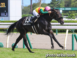 カラーパネル2021年9月5日新潟9R 飯豊特別(エムオーシャトル)