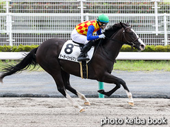 カラープリント(アルミ枠付き)2021年9月20日中京4R 2歳新馬(テーオーシャルマン)