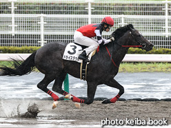 カラープリント(アルミ枠付き)2021年9月26日中京4R 2歳新馬(ドライスタウト)