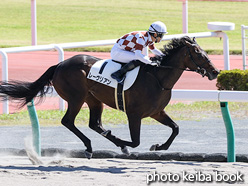 カラープリント(アルミ枠なし)2021年10月2日中京4R 3歳以上1勝クラス(レーヴリアン)