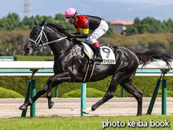 カラープリント(アルミ枠付き)2021年10月16日阪神3R 2歳未勝利(シホノスペランツァ)