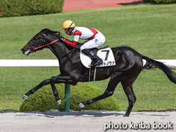 カラーパネル2021年10月16日阪神4R 2歳新馬(ゼットノヴァ)