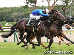 カラーパネル2021年10月16日新潟10R 粟島特別(ハリウッドヒルズ)