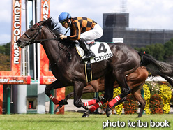 カラーパネル2021年10月17日阪神3R 2歳未勝利(モズタンジロウ)