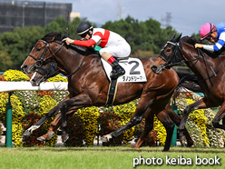 カラープリント(アルミ枠なし)2021年10月17日阪神6R 3歳以上1勝クラス(ダノンドリーマー)