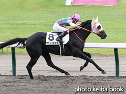 カラーパネル2021年10月17日新潟4R 3歳以上1勝クラス(サダムラピュタ)