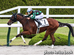 カラープリント(アルミ枠付き)2021年10月23日阪神4R 2歳新馬(ペルアア)