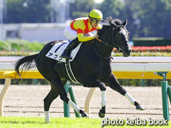 カラープリント(アルミ枠付き)2021年10月23日東京3R 2歳未勝利(アグリ)