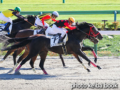 カラープリント(アルミ枠付き)2021年10月23日東京7R 3歳以上1勝クラス(トップリーチ)