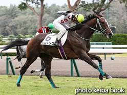 カラーパネル2021年10月23日新潟1R 3歳以上障害未勝利(ヒロキング)