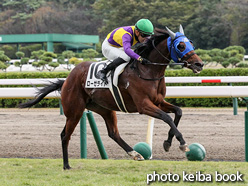 カラープリント(アルミ枠付き)2021年10月23日新潟8R 3歳以上1勝クラス(ローゼライト)