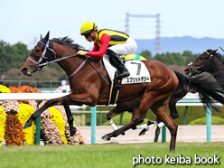 カラーパネル2021年10月24日阪神4R 2歳新馬(スプリットザシー)