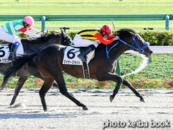 カラープリント(アルミ枠付き)2021年10月24日東京8R 3歳以上1勝クラス(マイナーズライト)