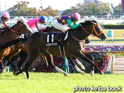 カラーパネル2021年10月24日東京10R 甲斐路ステークス(トラストケンシン)