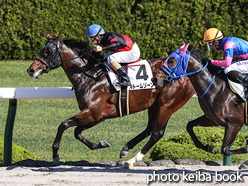 カラープリント(アルミ枠なし)2021年10月30日阪神1R 2歳未勝利(ストームゾーン)