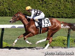 カラーパネル2021年10月30日阪神3R 2歳新馬(ネイト)