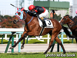 カラープリント(アルミ枠付き)2021年10月30日阪神8R 3歳以上2勝クラス(セウラサーリ)