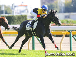 カラープリント(アルミ枠付き)2021年10月30日東京4R 2歳新馬(アインシュペンナー)