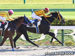 カラープリント(アルミ枠なし)2021年10月30日東京7R 3歳以上1勝クラス(フィナールショコラ)