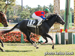 カラープリント(アルミ枠付き)2021年10月30日新潟5R 2歳未勝利(シナモンスティック)