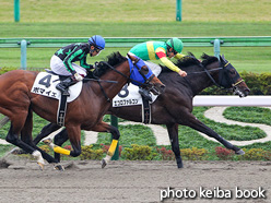 カラーパネル2021年10月31日東京7R 3歳以上1勝クラス(エコロファルコン)