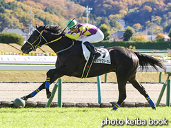 カラープリント(アルミ枠なし)2021年11月13日福島5R 2歳新馬(フジマサフリーダム)