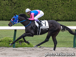 カラーパネル2021年11月14日阪神2R 2歳未勝利(メイショウジブリ)