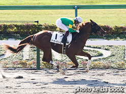 カラープリント(アルミ枠なし)2021年11月20日東京1R 2歳未勝利(アーサーテソーロ)