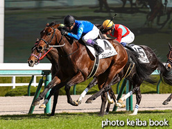 カラーパネル2021年11月27日阪神4R 2歳未勝利(スピリットワールド)