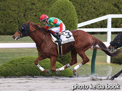 カラーパネル2021年11月27日阪神7R 3歳以上1勝クラス(ジェットエンブレム)