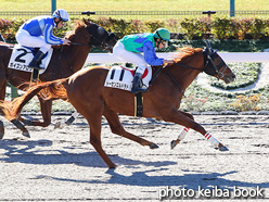 カラープリント(アルミ枠付き)2021年11月27日東京1R 2歳未勝利(トーセンエルドラド)