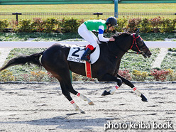 カラープリント(アルミ枠なし)2021年11月27日東京4R 3歳以上障害未勝利(グローリーグローリ)