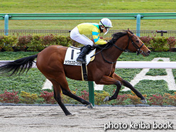 カラーパネル2021年11月27日東京6R 2歳新馬(サクセスローレル)