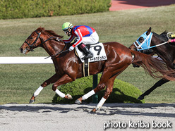 カラープリント(アルミ枠付き)2021年11月28日阪神2R 2歳未勝利(トーホウデュラン)