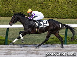 カラープリント(アルミ枠付き)2021年11月28日阪神7R 3歳以上1勝クラス(ペプチドナイル)