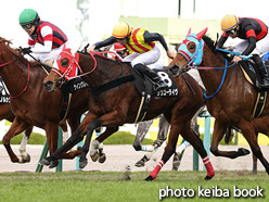 カラーパネル2021年11月28日阪神10R 立雲峡ステークス(ラヴユーライヴ)