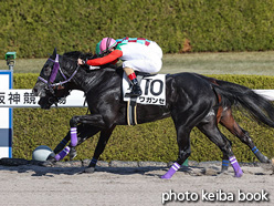 カラープリント(アルミ枠付き)2021年12月4日阪神2R 2歳未勝利(ワガンセ)