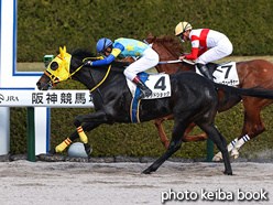 カラーパネル2021年12月4日阪神3R 2歳未勝利(ウッドショック)