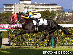 カラーパネル2021年12月4日阪神5R 2歳新馬(ラリュエル)