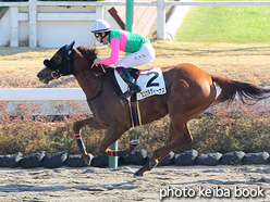 カラーパネル2021年12月4日中山2R 2歳未勝利(ミツカネヴィーナス)