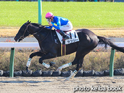 カラープリント(アルミ枠なし)2021年12月4日中山4R 2歳未勝利(ラフシー)