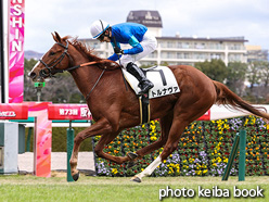 カラーパネル2021年12月5日阪神2R 2歳未勝利(トルナヴァ)