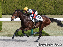 カラープリント(アルミ枠なし)2021年12月5日阪神4R 3歳以上障害未勝利(タマノジュメイラ)