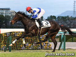 カラーパネル2021年12月5日阪神12R 3歳以上2勝クラス(ショウリュウレーヴ)